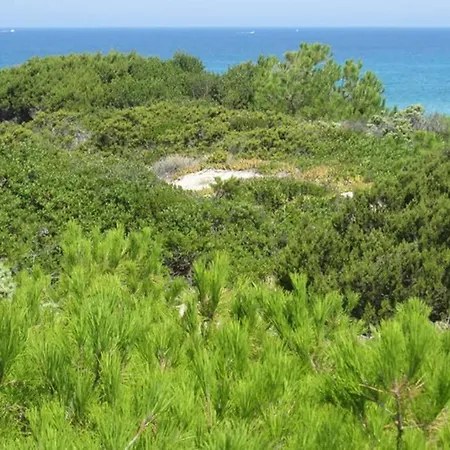 Casa Mirta, 80mq A 150 Metri Dal Mare